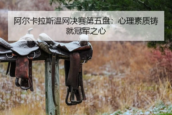 a-er-ka-la-si-wen-wang-jue-sai-di-wu-pan-xin-li-su-zhi-zhu-jiu-guan-jun-zhi-xin-2-805.jpg