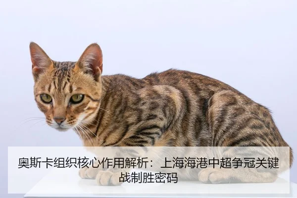 ao-si-ka-zu-zhi-he-xin-zuo-yong-jie-xi-shang-hai-hai-gang-zhong-chao-zheng-guan-guan-jian-zhan-zhi-sheng-mi-ma-2-104.jpg