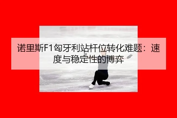 nuo-li-si-xiong-ya-li-zhan-gan-wei-zhuan-hua-nan-ti-su-du-yu-wen-ding-xing-de-bo-yi-2-372.jpg