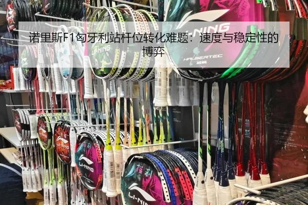 nuo-li-si-xiong-ya-li-zhan-gan-wei-zhuan-hua-nan-ti-su-du-yu-wen-ding-xing-de-bo-yi-3-109.jpg