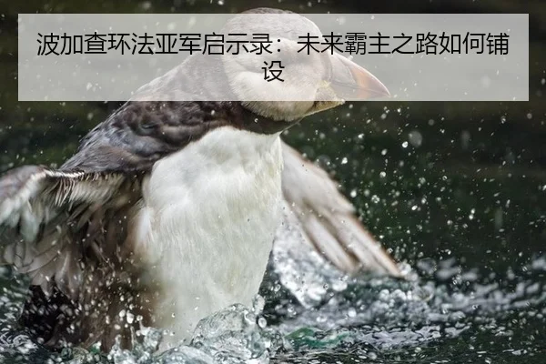 波加查环法亚军启示录：未来霸主之路如何铺设