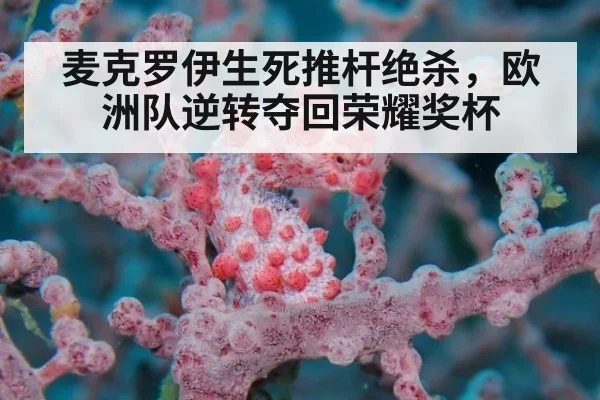 麦克罗伊生死推杆绝杀，欧洲队逆转夺回荣耀奖杯